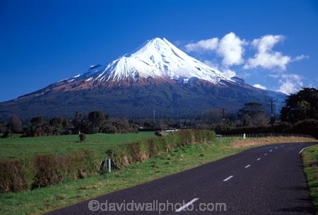 snow;winter;ice;volcano;volcanoes;mountain;mountains;snowline;snow_line;snow-line;sunrise;dawn;cloud;clouds;pink;orange;crimson;Mount-Taranaki;Mount-Egmont;taranaki;egmont;mt-taranaki;mt-egmont;mt.-taranaki;mt.-egmont;new-zealand;road;roads;transport;travel;centre-line;middle-line