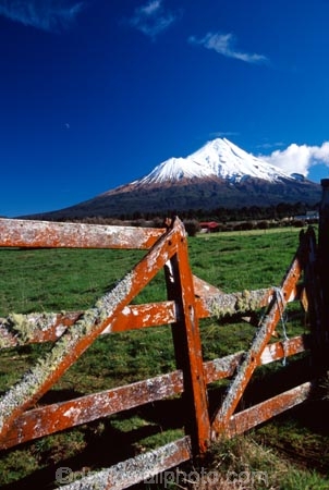 spring;grass;green;fence;fenceline;paddock;paddocks;field;fields;pasture;pastures;meadow;meadows;agriculture;rural;farm;farms;farmer;farming;lush;verdant;cow;cows;milk;mountain;volcano;volcanoes;snow;winter;mountains;icon;Mount-Taranaki;Mount-Egmont;taranaki;egmont;mt-taranaki;mt-egmont;mt.-tranaki;mt.-egmont;new-zealand;fence;fenceline;fences;gate;gates;rustic;lichen;lichens;gateway
