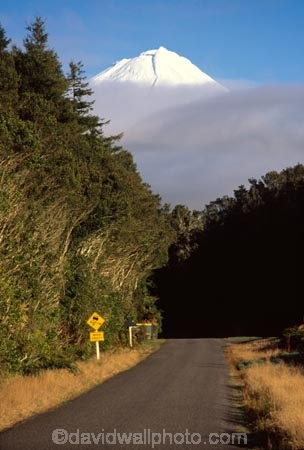 snow;winter;ice;volcano;volcanoes;mountain;mountains;snowline;snow_line;snow-line;sunrise;dawn;cloud;clouds;pink;orange;crimson;Mount-Taranaki;Mount-Egmont;taranaki;egmont;mt-taranaki;mt-egmont;mt.-taranaki;mt.-egmont;new-zealand;road;roads;transport;travel;sign;road-sign;icy-road;warning-sign