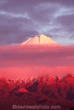 snow;winter;ice;volcano;volcanoes;mountain;mountains;snowline;snow_line;snow-line;sunrise;dawn;cloud;clouds;pink;orange;crimson;Mount-Taranaki;Mount-Egmont;taranaki;egmont;mt-taranaki;mt-egmont;mt.-tranaki;mt.-egmont;new-zealand