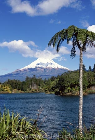 Lake-Mangamahoe;mountain;mountains;volcano;volcanoes;snow;winter;Mount-Taranaki;Mount-Egmont;taranaki;egmont;mt-taranaki;mt-egmont;mt.-taranaki;mt.-egmont;new-zealand;lakes;fern;ferns;tree;fern;tree-ferns