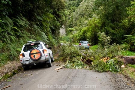 4wd;4wds;4wds;4x4;4x4s;4x4s;beautiful;beauty;Blocking;bush;danger;endemic;Fallen-Tree;forest;forests;Forgotten-World-Highway;four-by-four;four-by-fours;four-wheel-drive;four-wheel-drives;green;hazard;N.I.;N.Z.;native;native-bush;natives;natural;nature;New-Zealand;NI;North-Island;NZ;rain-forest;rain-forests;rain_forest;rain_forests;rainforest;rainforests;road-block;road-blocks;road-hazard;road-hazards;scene;scenic;Stratford-_-Taumarunui-Road;suv;suvs;Tangarakau-Gorge;Taranaki;Taumarunui-_-Stratford-Road;The-Forgotten-World-Highway;vehicle;vehicles