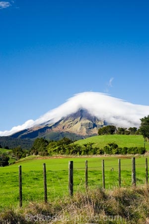 agricultural;agriculture;cloud;clouds;cloudy;country;countryside;crop;crops;Egmont-N.P.;Egmont-National-Park;Egmont-NP;farm;farming;farmland;farms;fence;fence-line;fence-lines;fenceline;fencelines;fences;field;fields;horticulture;meadow;meadows;mist;mists;misty;Mount-Egmont;Mount-Taranaki;Mountain;mountainous;mountains;mt;Mt-Egmont;Mt-Taranaki;Mt-Taranaki-Egmont;mt.;Mt.-Egmont;Mt.-Taranaki;N.I.;N.Z.;New-Zealand;NI;North-Island;NZ;paddock;paddocks;pasture;pastures;rural;shroud;shrouded;Taranaki;volcanic;volcano;volcanoes