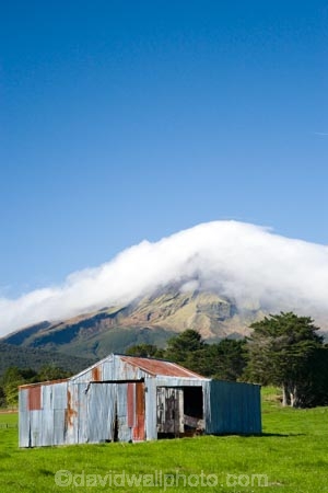 agricultural;agriculture;cloud;clouds;cloudy;corrugated-iron;corrugated-steel;country;countryside;crop;crops;farm;Farm-Building;Farm-Buildings;Farm-Shed;Farm-Sheds;farming;farmland;farms;field;fields;horticulture;meadow;meadows;mist;mists;misty;N.I.;N.Z.;New-Zealand;NI;North-Island;NZ;paddock;paddocks;pasture;pastures;rural;shroud;shrouded;Taranaki