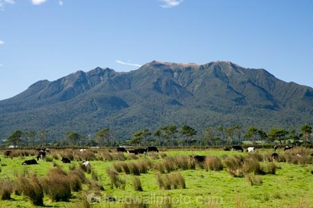 agricultural;agriculture;country;countryside;crop;crops;Egmont-N.P.;Egmont-National-Park;Egmont-NP;farm;farming;farmland;farms;field;fields;horticulture;Kaitake-Range;meadow;meadows;Mount-Egmont;Mount-Taranaki;Mountain;mountainous;mountains;mt;Mt-Egmont;Mt-Taranaki;Mt-Taranaki-Egmont;mt.;Mt.-Egmont;Mt.-Taranaki;N.I.;N.Z.;New-Zealand;NI;North-Island;NZ;paddock;paddocks;pasture;pastures;rural;Taranaki;volcanic;volcano;volcanoes