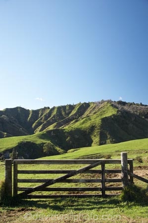agricultural;agriculture;country;countryside;dairy-farm;dairy-farming;dairy-farms;farm;farming;farmland;farms;fence;fence-line;fence-lines;fence_line;fence_lines;fenceline;fencelines;fences;field;fields;gate;gates;gateway;gateways;grassy;green-grass;meadow;meadows;N.I.;N.Z.;New-Zealand;NI;North-Is;North-Is.;North-Island;NZ;Otaraoa-Raod;Otaraoa-Rd;paddock;paddocks;pasture;pastures;rural;Taranaki;Tarata