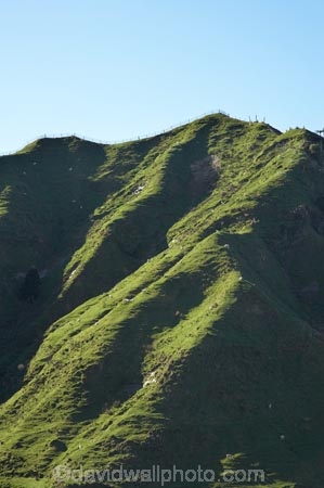 agricultural;agriculture;country;countryside;dairy-farm;dairy-farming;dairy-farms;farm;farming;farmland;farms;field;fields;grassy;green-grass;livestock;meadow;meadows;N.I.;N.Z.;New-Zealand;NI;North-Is;North-Is.;North-Island;NZ;Otaraoa-Raod;Otaraoa-Rd;paddock;paddocks;pasture;pastures;rural;sheep;stock;Taranaki;Tarata