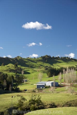 agricultural;agriculture;country;countryside;dairy-farm;dairy-farming;dairy-farms;farm;Farm-Building;Farm-Buildings;Farm-Shed;Farm-Sheds;farming;farmland;farms;field;fields;grassy;green-grass;meadow;meadows;N.I.;N.Z.;New-Zealand;NI;North-Is;North-Is.;North-Island;NZ;Otaraoa-Raod;Otaraoa-Rd;paddock;paddocks;pasture;pastures;rural;Shearing-Shed;Shearing-Sheds;Sheep-Shed;Sheep-Sheds;Taranaki;Tarata;Wool-Shed;Wool-Sheds;woolshed;woolsheds