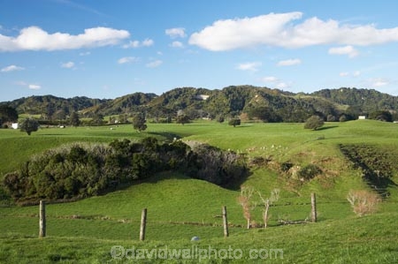 agricultural;agriculture;country;countryside;dairy-farm;dairy-farming;dairy-farms;farm;farming;farmland;farms;field;fields;grassy;green-grass;meadow;meadows;N.I.;N.Z.;New-Zealand;NI;North-Is;North-Is.;North-Island;NZ;paddock;paddocks;pasture;pastures;rural;Taranaki