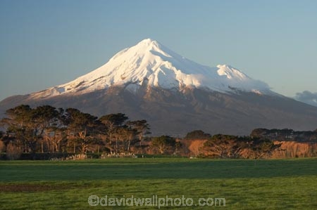 agricultural;agriculture;country;countryside;dairy-farm;dairy-farming;dairy-farms;farm;farming;farmland;farms;field;fields;meadow;meadows;Mount-Egmont;Mount-Taranaki;Mount-Taranaki-Egmont;Mountain;mountainous;mountains;mt;Mt-Egmont;Mt-Taranaki;Mt-Taranaki-Egmont;mt.;Mt.-Egmont;Mt.-Taranaki;Mt.-Taranaki-Egmont;N.I.;N.Z.;New-Zealand;NI;North-Is;North-Is.;North-Island;NZ;Opunake;paddock;paddocks;pasture;pastures;rural;season;seasonal;seasons;snow;Taranaki;volcanic;volcano;volcanoes;winter