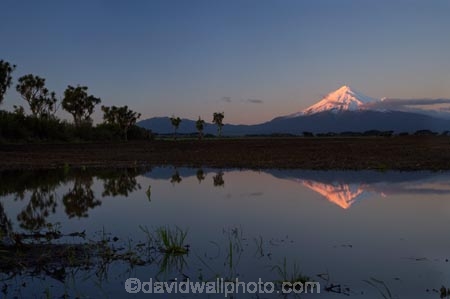 alpenglo;alpenglow;alpine;alpinglo;alpinglow;cabbage-tree;cabbage-trees;calm;color;colors;colour;colours;Cordyline-australis;Egmont-N.P.;Egmont-National-Park;Egmont-NP;Mount-Egmont;Mount-Taranaki;Mount-Taranaki-Egmont;Mountain;mountainous;mountains;mt;Mt-Egmont;Mt-Taranaki;Mt-Taranaki-Egmont;mt.;Mt.-Egmont;Mt.-Taranaki;Mt.-Taranaki-Egmont;N.I.;N.Z.;New-Zealand;NI;North-Is;North-Is.;North-Island;NZ;Opunake;pink;placid;quiet;reflection;reflections;season;seasonal;seasons;serene;smooth;snow;still;Taranaki;tranquil;volcanic;volcano;volcanoes;water;winter