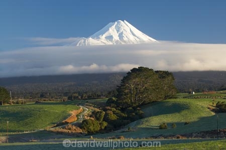 agricultural;agriculture;cloud;clouds;country;countryside;dairy-farm;dairy-farming;dairy-farms;farm;farming;farmland;farms;field;fields;macrocarpa-tree;macrocarpa-trees;meadow;meadows;Mount-Egmont;Mount-Taranaki;Mount-Taranaki-Egmont;Mountain;mountainous;mountains;mt;Mt-Egmont;Mt-Taranaki;Mt-Taranaki-Egmont;mt.;Mt.-Egmont;Mt.-Taranaki;Mt.-Taranaki-Egmont;N.I.;N.Z.;New-Zealand;NI;North-Is;North-Is.;North-Island;NZ;paddock;paddocks;pasture;pastures;rural;season;seasonal;seasons;snow;Taranaki;volcanic;volcano;volcanoes;winter