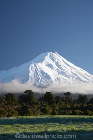 agricultural;agriculture;cloud;clouds;country;countryside;dairy-farm;dairy-farming;dairy-farms;Egmont-N.P.;Egmont-National-Park;Egmont-NP;farm;farming;farmland;farms;field;fields;frost;frosts;frosty;meadow;meadows;Mount-Egmont;Mount-Taranaki;Mount-Taranaki-Egmont;Mountain;mountainous;mountains;mt;Mt-Egmont;Mt-Taranaki;Mt-Taranaki-Egmont;mt.;Mt.-Egmont;Mt.-Taranaki;Mt.-Taranaki-Egmont;N.I.;N.Z.;native-bush;native-forest;native-forests;New-Zealand;NI;North-Is;North-Is.;North-Island;NZ;paddock;paddocks;pasture;pastures;rural;season;seasonal;seasons;snow;Taranaki;volcanic;volcano;volcanoes;winter