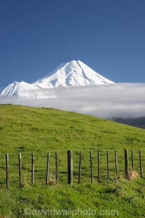 agricultural;agriculture;country;countryside;dairy-farm;dairy-farming;dairy-farms;farm;farming;farmland;farms;fence;fence-line;fence-lines;fence_line;fence_lines;fenceline;fencelines;fences;field;fields;meadow;meadows;Mount-Egmont;Mount-Taranaki;Mount-Taranaki-Egmont;Mountain;mountainous;mountains;mt;Mt-Egmont;Mt-Taranaki;Mt-Taranaki-Egmont;mt.;Mt.-Egmont;Mt.-Taranaki;Mt.-Taranaki-Egmont;N.I.;N.Z.;New-Zealand;NI;North-Is;North-Is.;North-Island;NZ;paddock;paddocks;pasture;pastures;rural;season;seasonal;seasons;snow;Taranaki;volcanic;volcano;volcanoes;winter