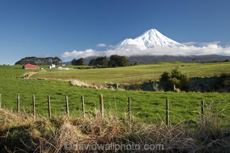 agricultural;agriculture;country;countryside;dairy-farm;dairy-farming;dairy-farms;farm;farming;farmland;farms;fence;fence-line;fence-lines;fence_line;fence_lines;fenceline;fencelines;fences;field;fields;meadow;meadows;Mount-Egmont;Mount-Taranaki;Mount-Taranaki-Egmont;Mountain;mountainous;mountains;mt;Mt-Egmont;Mt-Taranaki;Mt-Taranaki-Egmont;mt.;Mt.-Egmont;Mt.-Taranaki;Mt.-Taranaki-Egmont;N.I.;N.Z.;New-Zealand;NI;North-Is;North-Is.;North-Island;NZ;paddock;paddocks;pasture;pastures;rural;season;seasonal;seasons;snow;Taranaki;volcanic;volcano;volcanoes;winter