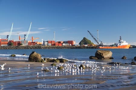 beach;beaches;bird;birds;calm;coast;coastal;coastline;coastlines;coasts;container-terminal;container-terminals;crane;cranes;dock;docks;Feather;harbor;harbors;harbour;harbours;N.I.;N.Z.;Natural;Nature;New-Plymouth;New-Zealand;NI;North-Is;North-Is.;North-Island;NZ;ocean;Ornithology;Pacific-Runner;placid;port;Port-Taranaki;ports;quiet;reflection;reflections;sand;sandy;sea;seagull;seagulls;serene;ship;shipping;ships;shore;shoreline;shorelines;shores;smooth;still;Taranaki;tranquil;water;waterfront;wharf;wharfs;wharves;wild;Wildlife