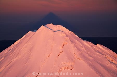 aerial;aerial-photo;aerial-photograph;aerial-photographs;aerial-photography;aerial-photos;aerial-view;aerial-views;aerials;alp;alpenglo;alpenglow;alpine;alpinglo;alpinglow;alps;altitude;apricot;break-of-day;cold;color;colors;colour;colours;dawn;dawning;daybreak;Egmont-N.P.;Egmont-National-Park;Egmont-NP;first-light;freeze;freezing;high-altitude;morning;mount;Mount-Egmont;Mount-Taranaki;Mount-Taranaki-Egmont;mountain;mountain-peak;mountainous;mountains;mountainside;mt;Mt-Egmont;Mt-Taranaki;Mt-Taranaki-Egmont;mt.;Mt.-Egmont;Mt.-Taranaki;Mt.-Taranaki-Egmont;N.I.;N.Z.;New-Zealand;NI;North-Is;North-Is.;North-Island;NZ;orange;peak;peaks;pink;season;seasonal;seasons;shadow;shadows;snow;snow-capped;snow_capped;snowcapped;snowy;summit;summits;sunrise;sunrises;sunup;Taranaki;volcanic;volcano;volcanoes;white;winter;wintery