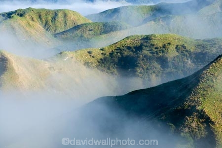 agricultural;agriculture;cloud;clouds;cloudy;country;countryside;farm;farming;farmland;farms;field;fields;fog;foggy;fogs;meadow;meadows;mist;mists;misty;N.I.;N.Z.;New-Zealand;NI;North-Island;NZ;paddock;paddocks;pasture;pastures;rural;Wanganui;Wanganui-Region