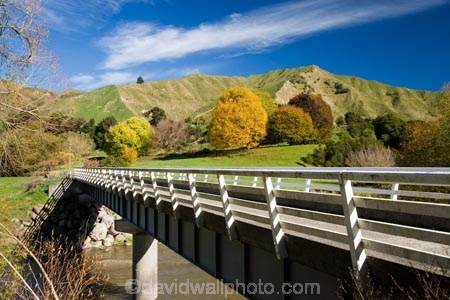 agricultural;agriculture;autuminal;autumn;autumn-colour;autumn-colours;autumnal;bridge;bridges;color;colors;colour;colours;country;countryside;deciduous;fall;farm;farming;farmland;farms;field;fields;Kakatahi;leaf;leaves;meadow;meadows;N.I.;N.Z.;New-Zealand;NI;North-Island;NZ;paddock;paddocks;pasture;pastures;rural;season;seasonal;seasons;State-Highway-4;tree;trees;Wanganui;Wanganui-_-Raetihi-Road;Wanganui-Region