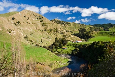 agricultural;agriculture;country;countryside;farm;Farm-Building;Farm-Buildings;Farm-Shed;Farm-Sheds;farming;farmland;farms;field;fields;Mangawhero-River;meadow;meadows;N.I.;N.Z.;New-Zealand;NI;North-Island;NZ;paddock;paddocks;pasture;pastures;rural;Shearing-Shed;Shearing-Sheds;Sheep-Shed;Sheep-Sheds;State-Highway-4;Wanganui;Wanganui-_-Raetihi-Road;Wanganui-Region;Wool-Shed;Wool-Sheds