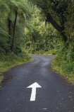 arrow;arrows;beautiful;beauty;bend;bends;bush;corner;corners;curve;curves;cyathea;Dawson-Falls;direction;directions;driving;Egmont-N.P.;Egmont-National-Park;Egmont-NP;endemic;fern;ferns;forest;forests;frond;fronds;green;lush;Mount-Egmont;Mount-Taranaki;Mount-Taranaki-Egmont;Mt-Egmont;Mt-Taranaki;Mt-Taranaki-Egmont;Mt.-Egmont;Mt.-Taranaki;Mt.-Taranaki-Egmont;N.I.;N.Z.;narrow-road;narrow-roads;native;native-bush;natives;natural;nature;New-Zealand;NI;North-Is;North-Is.;North-Island;NZ;one-way;one_way;oneway;plant;plants;point;points;ponga;pongas;punga;pungas;rain-forest;rain-forests;rain_forest;rain_forests;rainforest;rainforests;road;road-trip;roads;scene;scenic;Taranaki;timber;transport;transportation;travel;traveling;travelling;tree;tree-fern;tree-ferns;trees;trip;verdant;wood;woods