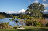 cyathea;fern;ferns;frond;fronds;lake;Lake-Mangamahoe;lakes;Mount-Egmont;Mount-Taranaki;Mount-Taranaki-Egmont;Mountain;mountainous;mountains;mt;Mt-Egmont;Mt-Taranaki;Mt-Taranaki-Egmont;mt.;Mt.-Egmont;Mt.-Taranaki;Mt.-Taranaki-Egmont;N.I.;N.Z.;New-Zealand;NI;North-Is;North-Is.;North-Island;NZ;picnic-area;picnic-areas;picnic-ground;picnic-grounds;picnic-spot;picnic-spots;plant;plants;ponga;pongas;punga;pungas;season;seasonal;seasons;snow;Taranaki;tree-fern;tree-ferns;volcanic;volcano;volcanoes;winter