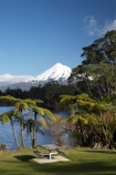 cyathea;fern;ferns;frond;fronds;lake;Lake-Mangamahoe;lakes;Mount-Egmont;Mount-Taranaki;Mount-Taranaki-Egmont;Mountain;mountainous;mountains;mt;Mt-Egmont;Mt-Taranaki;Mt-Taranaki-Egmont;mt.;Mt.-Egmont;Mt.-Taranaki;Mt.-Taranaki-Egmont;N.I.;N.Z.;New-Zealand;NI;North-Is;North-Is.;North-Island;NZ;picnic-area;picnic-areas;picnic-ground;picnic-grounds;picnic-spot;picnic-spots;plant;plants;ponga;pongas;punga;pungas;season;seasonal;seasons;snow;Taranaki;tree-fern;tree-ferns;volcanic;volcano;volcanoes;winter