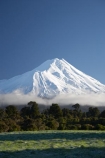 agricultural;agriculture;cloud;clouds;country;countryside;dairy-farm;dairy-farming;dairy-farms;Egmont-N.P.;Egmont-National-Park;Egmont-NP;farm;farming;farmland;farms;field;fields;frost;frosts;frosty;meadow;meadows;Mount-Egmont;Mount-Taranaki;Mount-Taranaki-Egmont;Mountain;mountainous;mountains;mt;Mt-Egmont;Mt-Taranaki;Mt-Taranaki-Egmont;mt.;Mt.-Egmont;Mt.-Taranaki;Mt.-Taranaki-Egmont;N.I.;N.Z.;native-bush;native-forest;native-forests;New-Zealand;NI;North-Is;North-Is.;North-Island;NZ;paddock;paddocks;pasture;pastures;rural;season;seasonal;seasons;snow;Taranaki;volcanic;volcano;volcanoes;winter