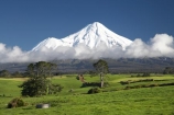 agricultural;agriculture;cloud;clouds;country;countryside;dairy-farm;dairy-farming;dairy-farms;farm;farming;farmland;farms;field;fields;meadow;meadows;Mount-Egmont;Mount-Taranaki;Mount-Taranaki-Egmont;Mountain;mountainous;mountains;mt;Mt-Egmont;Mt-Taranaki;Mt-Taranaki-Egmont;mt.;Mt.-Egmont;Mt.-Taranaki;Mt.-Taranaki-Egmont;N.I.;N.Z.;New-Zealand;NI;North-Is;North-Is.;North-Island;NZ;paddock;paddocks;pasture;pastures;rural;season;seasonal;seasons;snow;Stratford;Taranaki;volcanic;volcano;volcanoes;winter