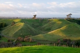 agricultural;agriculture;country;countryside;farm;farming;farmland;farms;field;fields;meadow;meadows;N.I.;N.Z.;New-Zealand;NI;North-Island;NZ;paddock;paddocks;pasture;pastures;rural;Wanganui;Wanganui-Region