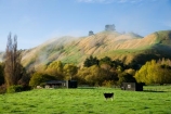 agricultural;agriculture;autuminal;autumn;autumn-colour;autumn-colours;autumnal;cattle;color;colors;colour;colours;country;countryside;cow;cows;deciduous;fall;farm;farming;farmland;farms;field;fields;leaf;leaves;meadow;meadows;N.I.;N.Z.;New-Zealand;NI;North-Island;NZ;paddock;paddocks;pasture;pastures;rural;season;seasonal;seasons;tree;trees;Upokongaro;Wanganui;Wanganui-Region
