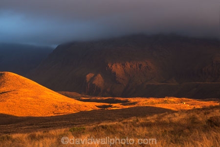 cloud;clouds;evening-light;fog;gold;golden;grass;grassland;hill;hills;light;parks;sunset;tussock;tussockland;twilight