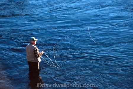 brown;fish;fisher;fisherman;fishermen;fresh;freshwater;line;rainbow;reel;rod;stream;trout