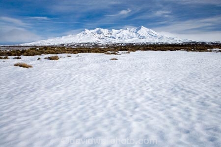 alpine;central-plateau;cold;desert;Desert-Raod;deserts;freeze;freezing;Mount-Ruapehu;Mountain;mountainous;mountains;mt;Mt-Ruapehu;mt.;Mt.-Ruapehu;N.I.;N.Z.;New-Zealand;NI;North-Island;NZ;Rangipo-Desert;ruapehu-district;season;seasonal;seasons;snow;snowing;snowy;Tongariro-N.P.;Tongariro-National-Park;Tongariro-NP;Turkino-Road;volcanic;volcanic-plateau;volcano;volcanoes;white;winter;wintery;World-Heritage-Area;World-Heritage-Areas;World-Heritage-Site;World-Heritage-Sites