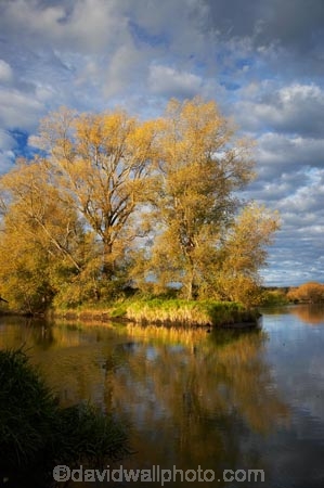 autuminal;autumn;autumn-colour;autumn-colours;autumnal;calm;Central-North-Island;cloud;clouds;cloudy;color;colors;colour;colours;deciduous;fall;leaf;leaves;N.I.;N.Z.;New-Zealand;NI;North-Island;NZ;placid;quiet;reflection;reflections;river;rivers;season;seasonal;seasons;serene;smooth;still;Taupo;tranquil;tree;trees;Waikato-River;water;willow;willow-tree;willow-trees;willows
