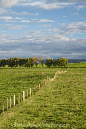 agricultural;agriculture;Central-North-Island;country;countryside;farm;farming;farmland;farms;fence;fence-line;fence-lines;fence_line;fence_lines;fenceline;fencelines;fences;field;fields;meadow;meadows;N.I.;N.Z.;New-Zealand;NI;North-Island;NZ;paddock;paddocks;pasture;pastures;rural;Taupo