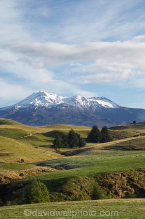 agricultural;agriculture;alpine;central-plateau;country;countryside;farm;farming;farmland;farms;field;fields;meadow;meadows;Mount-Ruapehu;Mountain;mountainous;mountains;mt;Mt-Ruapehu;mt.;Mt.-Ruapehu;N.I.;N.Z.;New-Zealand;NI;North-Island;NZ;paddock;paddocks;pasture;pastures;ruapehu-district;rural;Tongariro-N.P.;Tongariro-National-Park;Tongariro-NP;volcanic;volcanic-plateau;volcano;volcanoes;World-Heritage-Area;World-Heritage-Areas;World-Heritage-Site;World-Heritage-Sites