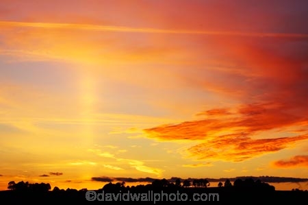 cloud;clouds;dusk;evening;glow;N.I.;N.Z.;New-Zealand;NI;nightfall;North-Island;NZ;Ohakune;orange;Ruapehu-District;sky;sunset;sunsets;tree;trees;twilight