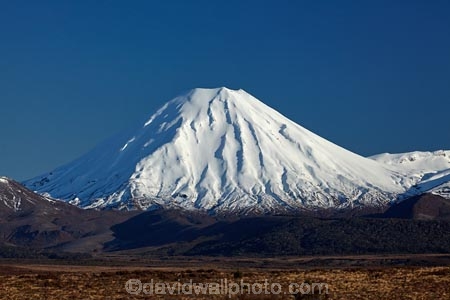 8365;alpine;central;Central-North-Island;Central-Plateau;cold;early;island;light;Mount-Ngauruhoe;mountain;mountainous;mountains;mt;Mt-Ngauruhoe;mt.;Mt.-Ngauruhoe;N.I.;N.Z.;national;National-Park;national-parks;new;new-zealand;ngauruhoe;NI;north;North-Is;north-island;NP;Nth-Is;NZ;park;plateau;Ruapehu-District;season;seasonal;seasons;snow;snowy;tongariro;Tongariro-N.P.;Tongariro-National-Park;Tongariro-NP;tussock;tussocks;volcanic;volcanic-plateau;volcano;volcanoes;white;winter;wintery;World-Heritage-Area;World-Heritage-Areas;World-Heritage-Site;World-Heritage-Sites;zealand