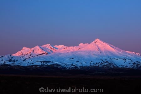 alpenglo;alpenglow;alpine;alpinglo;alpinglow;break-of-day;Central-North-Island;central-plateau;color;colors;colour;colours;dawn;dawning;daybreak;first-light;island;morning;Mount-Ruapehu;mountain;mountainous;mountains;mt;Mt-Ruapehu;mt.;Mt.-Ruapehu;N.I.;N.Z.;National-Park;national-parks;new;new-zealand;NI;north;North-Is;North-Island;NP;Nth-Is;NZ;orange;pink;ruapehu-district;snow;sunrise;sunrises;sunup;Tongariro-N.P.;Tongariro-National-Park;Tongariro-NP;twilight;volcanic;volcanic-plateau;volcano;volcanoes;w3a9471;World-Heritage-Area;World-Heritage-Areas;World-Heritage-Site;World-Heritage-Sites;zealand