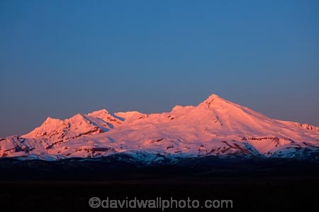 alpenglo;alpenglow;alpine;alpinglo;alpinglow;break-of-day;Central-North-Island;central-plateau;color;colors;colour;colours;dawn;dawning;daybreak;first-light;island;morning;Mount-Ruapehu;mountain;mountainous;mountains;mt;Mt-Ruapehu;mt.;Mt.-Ruapehu;N.I.;N.Z.;National-Park;national-parks;new;new-zealand;NI;north;North-Is;North-Island;NP;Nth-Is;NZ;orange;pink;ruapehu-district;snow;sunrise;sunrises;sunup;Tongariro-N.P.;Tongariro-National-Park;Tongariro-NP;twilight;volcanic;volcanic-plateau;volcano;volcanoes;w3a9514;World-Heritage-Area;World-Heritage-Areas;World-Heritage-Site;World-Heritage-Sites;zealand