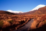 cone;mountain;mountains;peak;peaks;snow;snow-cap;snow-capped;snow-caps;snow_cap;snow_capped;tussock;tussocks;volcanic;volcano