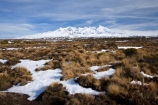 alpine;alpine-plants;central-plateau;cold;desert;Desert-Raod;deserts;freeze;freezing;Mount-Ruapehu;Mountain;mountainous;mountains;mt;Mt-Ruapehu;mt.;Mt.-Ruapehu;N.I.;N.Z.;New-Zealand;NI;North-Island;NZ;Rangipo-Desert;ruapehu-district;season;seasonal;seasons;snow;snowing;snowy;Tongariro-N.P.;Tongariro-National-Park;Tongariro-NP;Turkino-Road;tussock;tussocks;volcanic;volcanic-plateau;volcano;volcanoes;white;winter;wintery;World-Heritage-Area;World-Heritage-Areas;World-Heritage-Site;World-Heritage-Sites