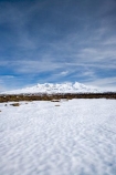 alpine;central-plateau;cold;desert;Desert-Raod;deserts;freeze;freezing;Mount-Ruapehu;Mountain;mountainous;mountains;mt;Mt-Ruapehu;mt.;Mt.-Ruapehu;N.I.;N.Z.;New-Zealand;NI;North-Island;NZ;Rangipo-Desert;ruapehu-district;season;seasonal;seasons;snow;snowing;snowy;Tongariro-N.P.;Tongariro-National-Park;Tongariro-NP;Turkino-Road;volcanic;volcanic-plateau;volcano;volcanoes;white;winter;wintery;World-Heritage-Area;World-Heritage-Areas;World-Heritage-Site;World-Heritage-Sites