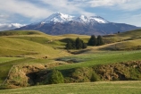 agricultural;agriculture;alpine;central-plateau;country;countryside;farm;farming;farmland;farms;field;fields;meadow;meadows;Mount-Ruapehu;Mountain;mountainous;mountains;mt;Mt-Ruapehu;mt.;Mt.-Ruapehu;N.I.;N.Z.;New-Zealand;NI;North-Island;NZ;paddock;paddocks;pasture;pastures;ruapehu-district;rural;Tongariro-N.P.;Tongariro-National-Park;Tongariro-NP;volcanic;volcanic-plateau;volcano;volcanoes;World-Heritage-Area;World-Heritage-Areas;World-Heritage-Site;World-Heritage-Sites
