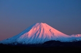alpenglo;alpenglow;alpine;alpinglo;alpinglow;break-of-day;central;Central-North-Island;Central-Plateau;cold;color;colors;colour;colours;dawn;dawning;daybreak;first-light;island;morning;Mount-Ngauruhoe;mountain;mountainous;mountains;mt;Mt-Ngauruhoe;mt.;Mt.-Ngauruhoe;N.I.;N.Z.;national;National-Park;national-parks;new;new-zealand;ngauruhoe;NI;north;North-Is;north-island;NP;Nth-Is;NZ;orange;park;pink;plateau;Ruapehu-District;season;seasonal;seasons;snow;snowy;sunrise;sunrises;sunup;tongariro;Tongariro-N.P.;Tongariro-National-Park;Tongariro-NP;twilight;volcanic;volcanic-plateau;volcano;volcanoes;w3a9486;white;winter;wintery;World-Heritage-Area;World-Heritage-Areas;World-Heritage-Site;World-Heritage-Sites;zealand