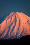 alpenglo;alpenglow;alpine;alpinglo;alpinglow;break-of-day;central;Central-North-Island;Central-Plateau;cold;color;colors;colour;colours;dawn;dawning;daybreak;first-light;island;morning;Mount-Ngauruhoe;mountain;mountainous;mountains;mt;Mt-Ngauruhoe;mt.;Mt.-Ngauruhoe;N.I.;N.Z.;national;National-Park;national-parks;new;new-zealand;ngauruhoe;NI;north;North-Is;north-island;NP;Nth-Is;NZ;orange;park;pink;plateau;Ruapehu-District;season;seasonal;seasons;snow;snowy;sunrise;sunrises;sunup;tongariro;Tongariro-N.P.;Tongariro-National-Park;Tongariro-NP;twilight;volcanic;volcanic-plateau;volcano;volcanoes;w3a9561;white;winter;wintery;World-Heritage-Area;World-Heritage-Areas;World-Heritage-Site;World-Heritage-Sites;zealand