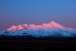 alpenglo;alpenglow;alpine;alpinglo;alpinglow;break-of-day;Central-North-Island;central-plateau;color;colors;colour;colours;dawn;dawning;daybreak;first-light;island;morning;Mount-Ruapehu;mountain;mountainous;mountains;mt;Mt-Ruapehu;mt.;Mt.-Ruapehu;N.I.;N.Z.;National-Park;national-parks;new;new-zealand;NI;north;North-Is;North-Island;NP;Nth-Is;NZ;orange;pink;ruapehu-district;snow;sunrise;sunrises;sunup;Tongariro-N.P.;Tongariro-National-Park;Tongariro-NP;twilight;volcanic;volcanic-plateau;volcano;volcanoes;w3a9471;World-Heritage-Area;World-Heritage-Areas;World-Heritage-Site;World-Heritage-Sites;zealand