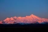 alpenglo;alpenglow;alpine;alpinglo;alpinglow;break-of-day;Central-North-Island;central-plateau;color;colors;colour;colours;dawn;dawning;daybreak;first-light;island;morning;Mount-Ruapehu;mountain;mountainous;mountains;mt;Mt-Ruapehu;mt.;Mt.-Ruapehu;N.I.;N.Z.;National-Park;national-parks;new;new-zealand;NI;north;North-Is;North-Island;NP;Nth-Is;NZ;orange;pink;ruapehu-district;snow;sunrise;sunrises;sunup;Tongariro-N.P.;Tongariro-National-Park;Tongariro-NP;twilight;volcanic;volcanic-plateau;volcano;volcanoes;w3a9514;World-Heritage-Area;World-Heritage-Areas;World-Heritage-Site;World-Heritage-Sites;zealand