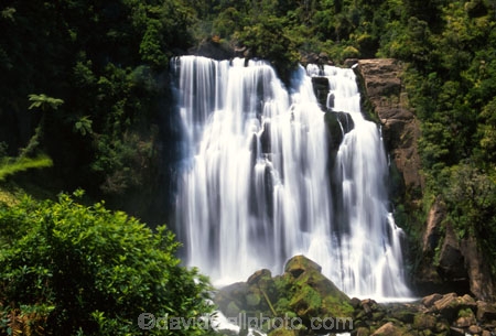 brook;calm;calmness;fern;forest;green;native-bush;natural;nature;stream;water;water-falls;waterfall;waterfalls